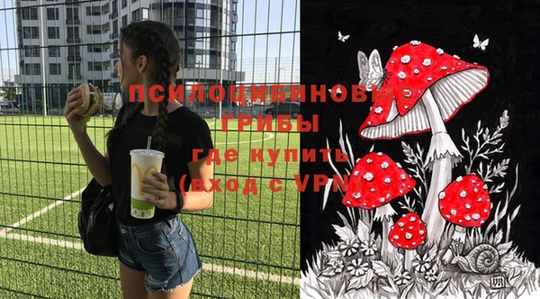 ГАЛЛЮЦИНОГЕННЫЕ ГРИБЫ Алексеевка